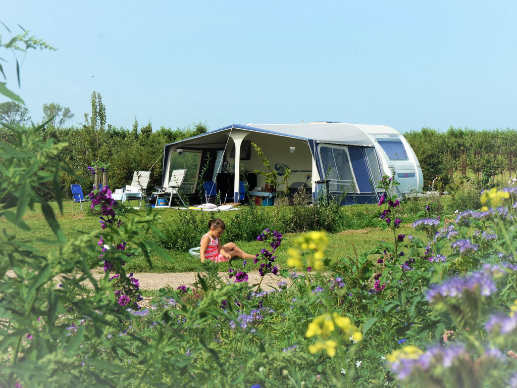 Camping Zwaakseweel 4