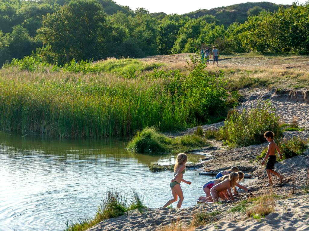 Camping de Kooi -Genieten op Waddeneiland Terschelling.