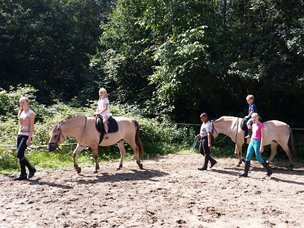 Vakantiecentrum De Kroeze Danne 8