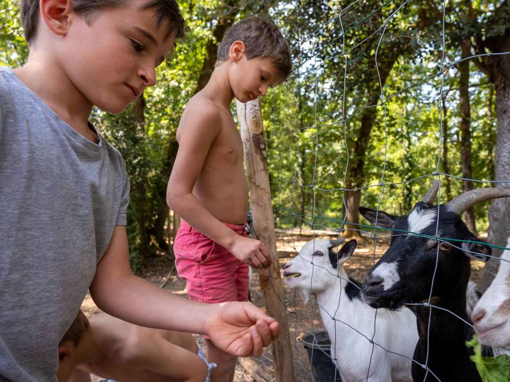 Camping Le Pech Charmant 8