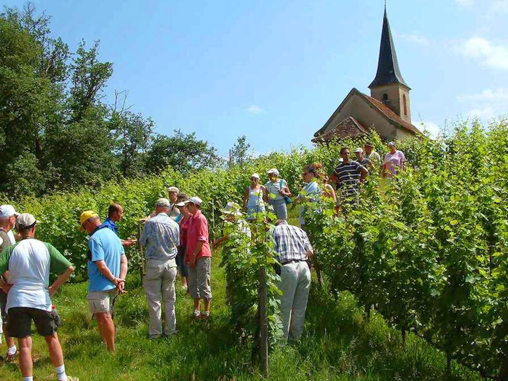 Camping Montrouant 9