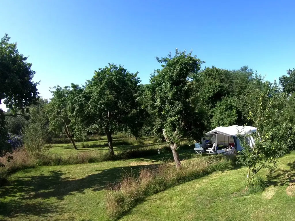 Kamperen in een appelboomgaard in Bretagne