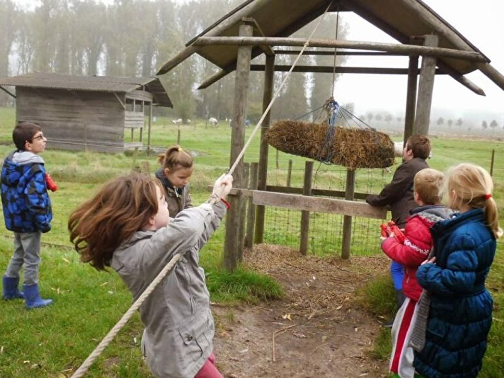 Boerenbed Hoeve Brugge 8