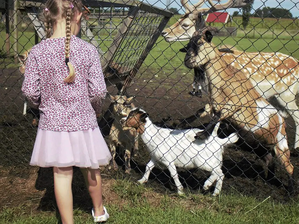 Christelijke gezinscamping in het Friese Gaasterland