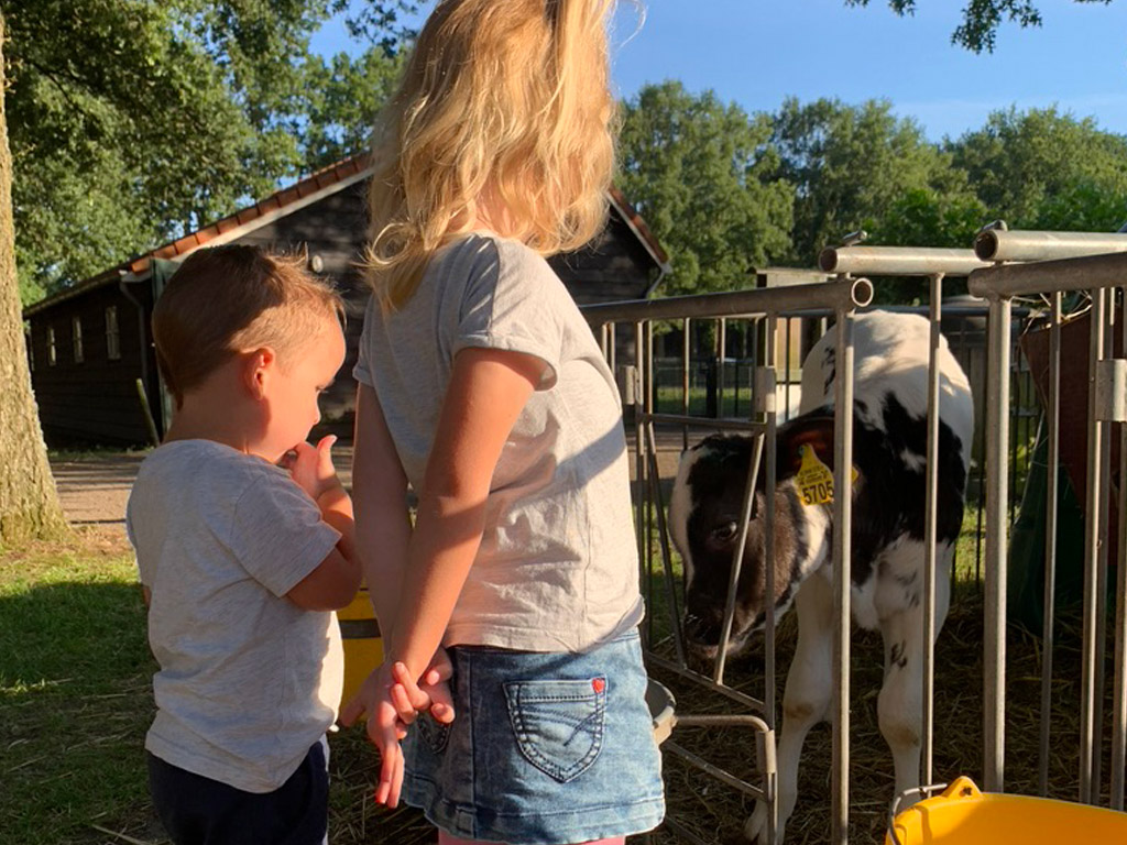 Helpen op een boerderijcamping