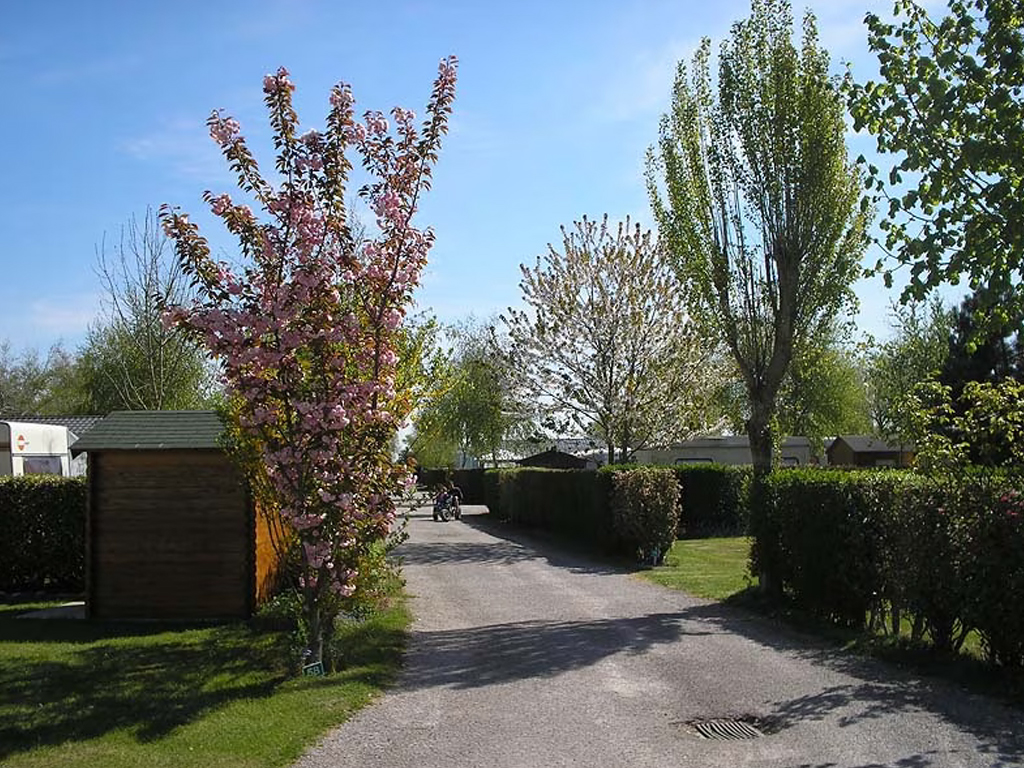 Camping Le Champ Neuf 6