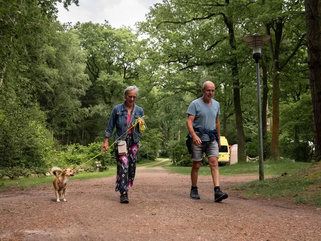 Vanaf de camping wandel je zo de natuur in