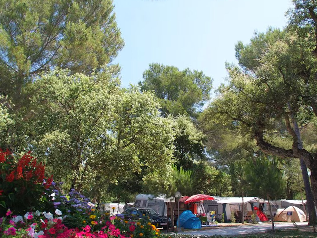 Camping Lei Suves 10