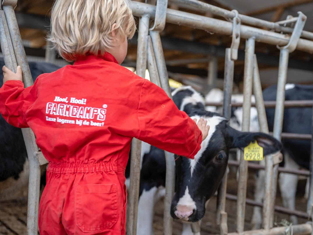 Farmcamps De Buitenhoeve 1