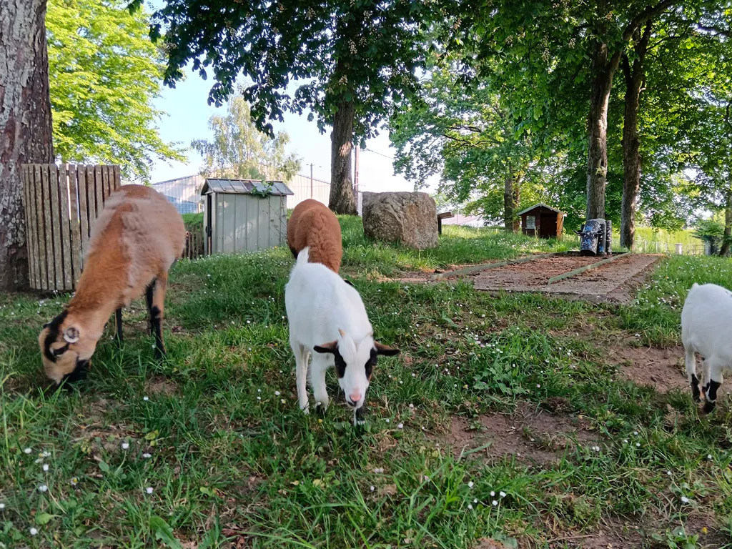 Flower Camping De La Hallerais 9