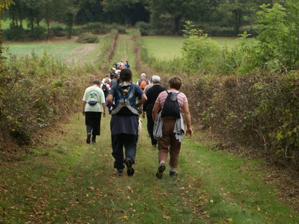 Camping Du Moulin Du Piot 8