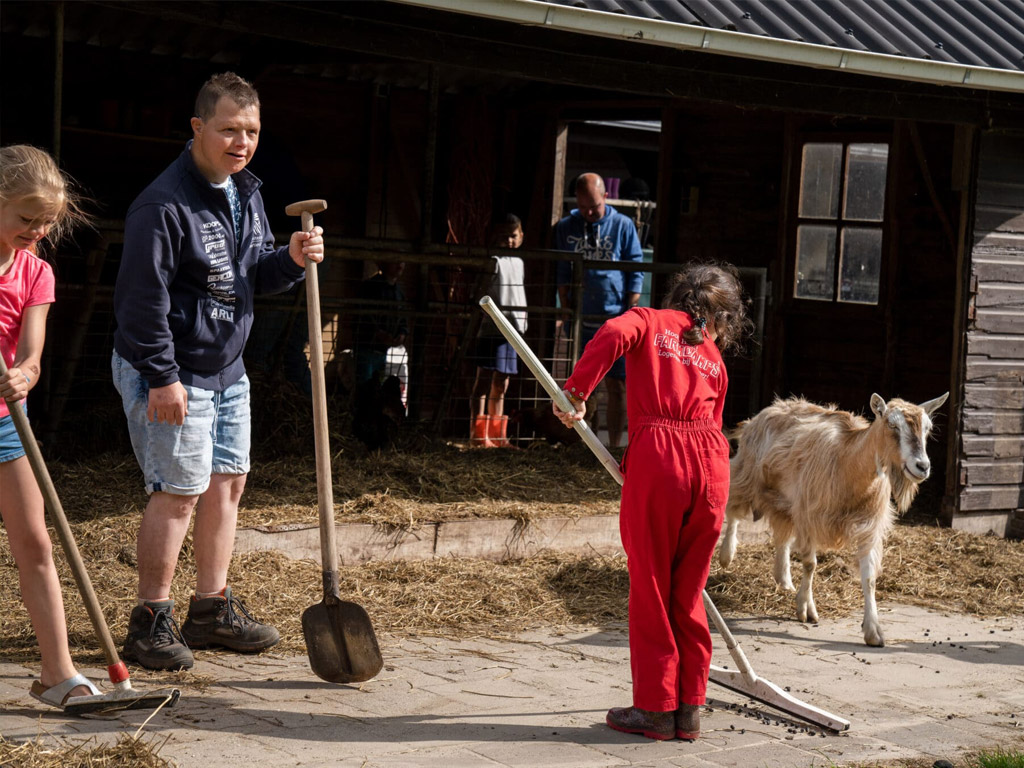 Farmcamps De Geele Bosch 6