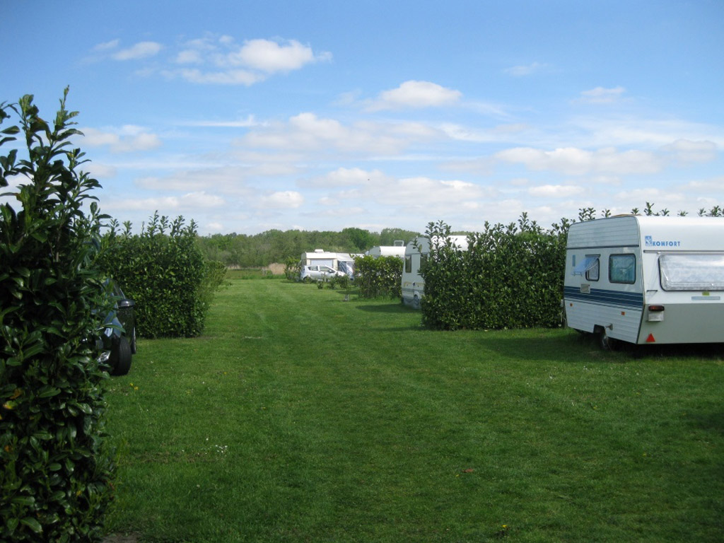 Camping De Dassenplas 1
