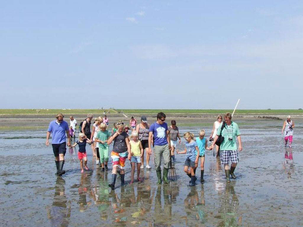 Wadlopen op de waddeneilanden