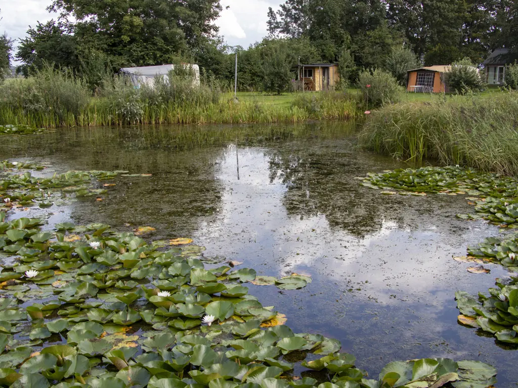 Camping met buitenkeuken en hout gestookte hottub