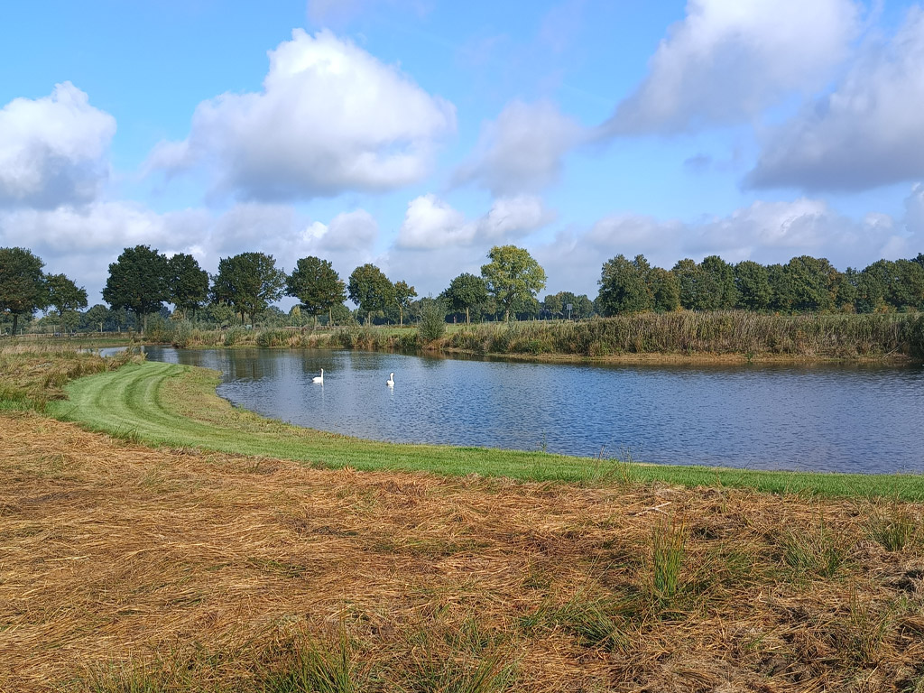 Camperplaats Uden Maashorst 4