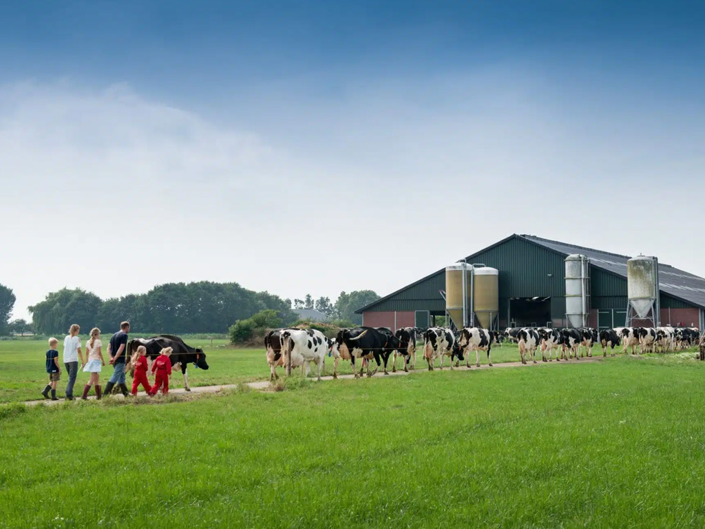 Farmcamps De Oostermaat 7