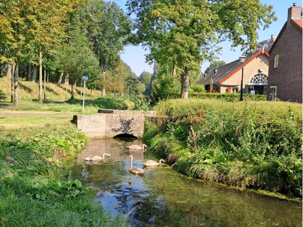 Camping Boerderij De Schans 9