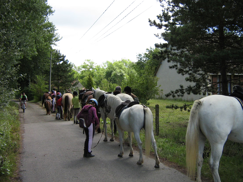 Camping Le Champ Neuf 10