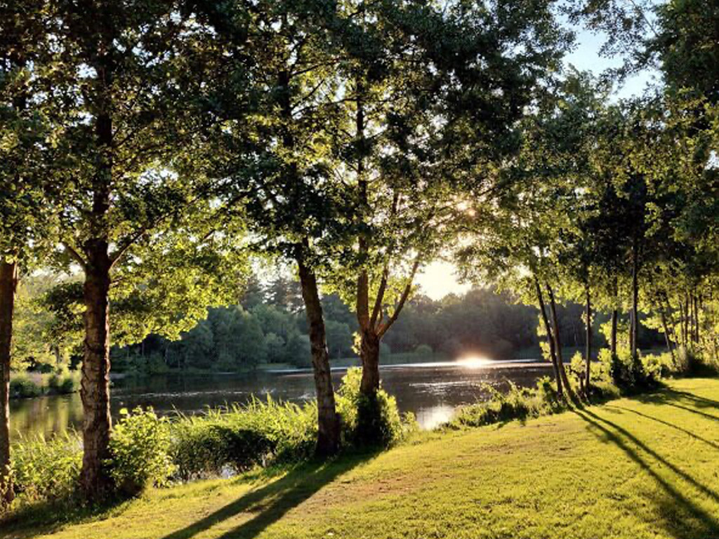 Viscamping voor groot en klein&nbsp;op deze mooie Nederlandse camping