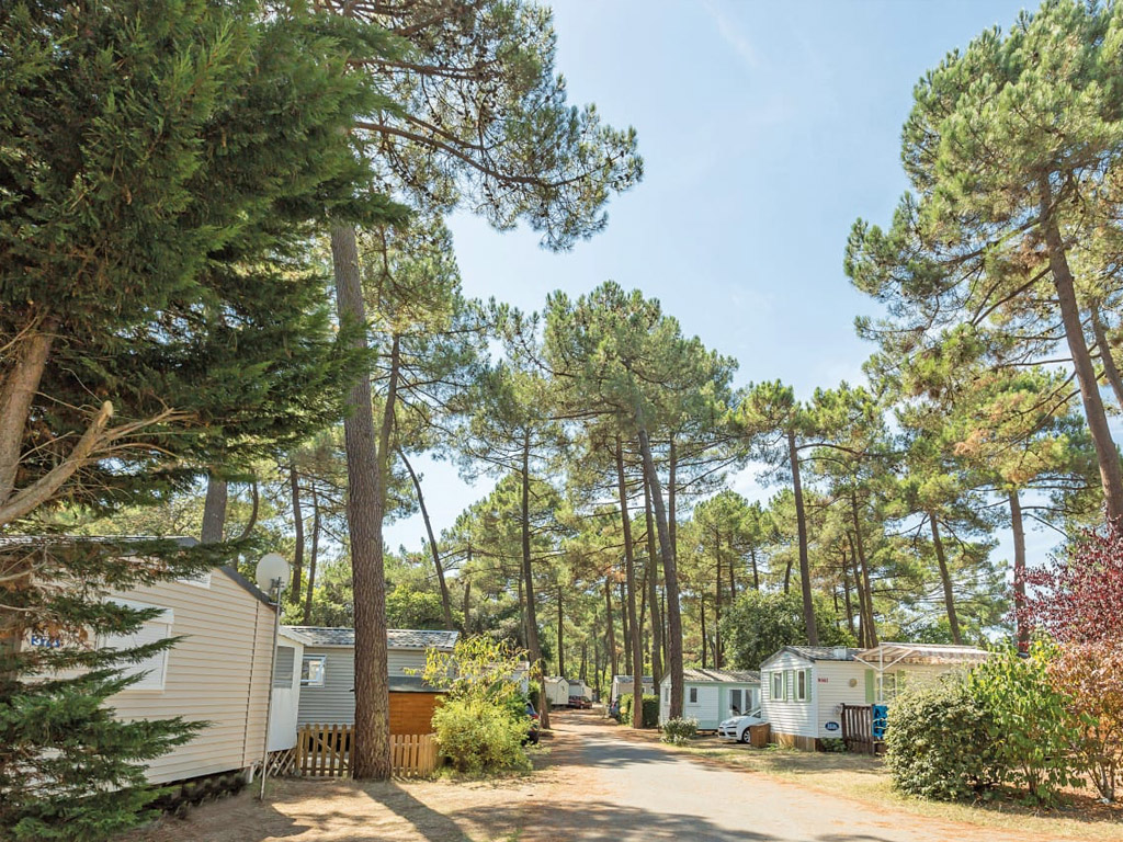 Camping Palmyre Loisirs 6