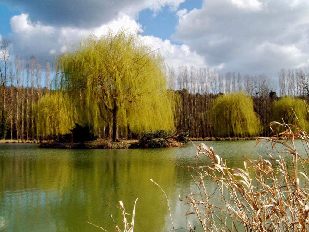 Camping La Riviere Doree 8