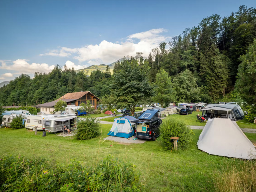 Camping Grassi 1