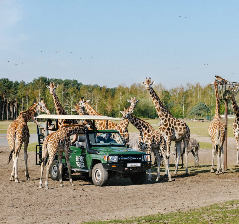 Camping Brabant 14