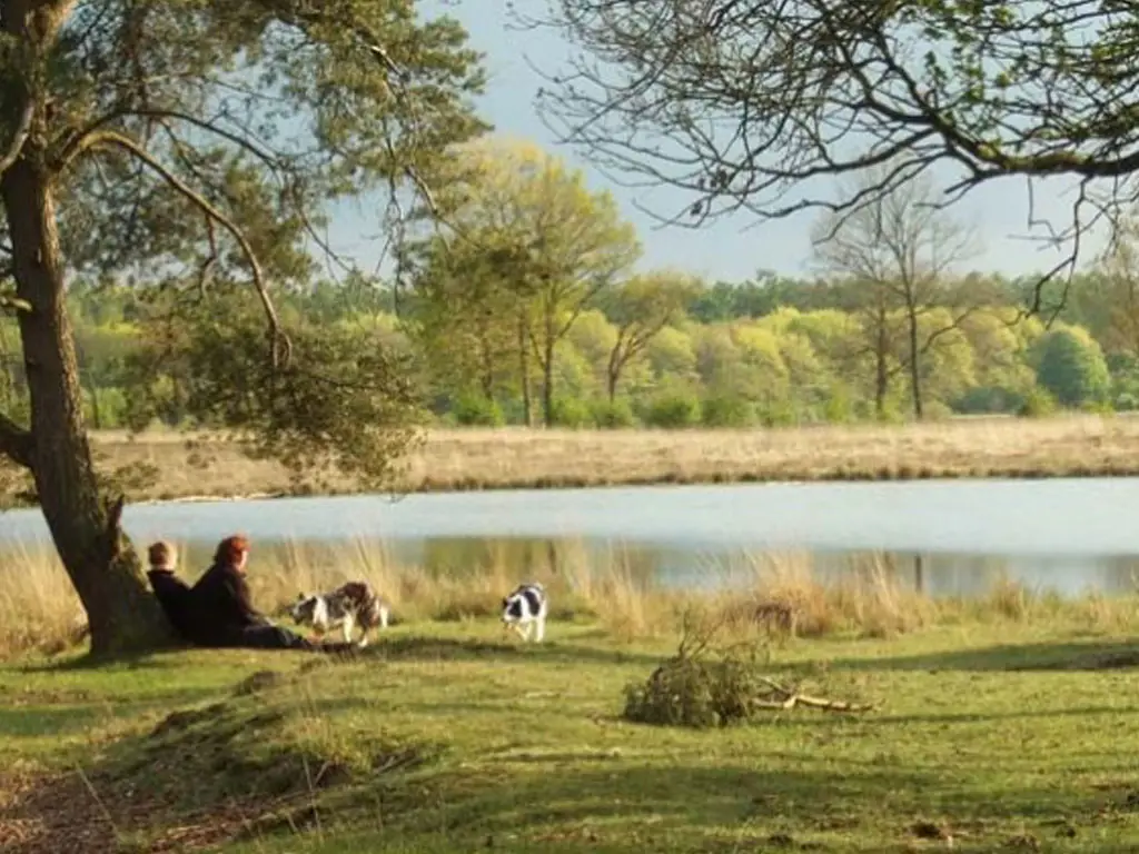 De Drie Provinciën Kamperen in EenWest Drenthe De Drie Provinciën Kamperen in EenWest Drenthe