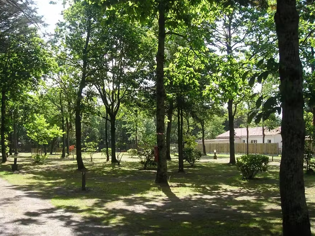 Camping Domaine Des Renardieres 1