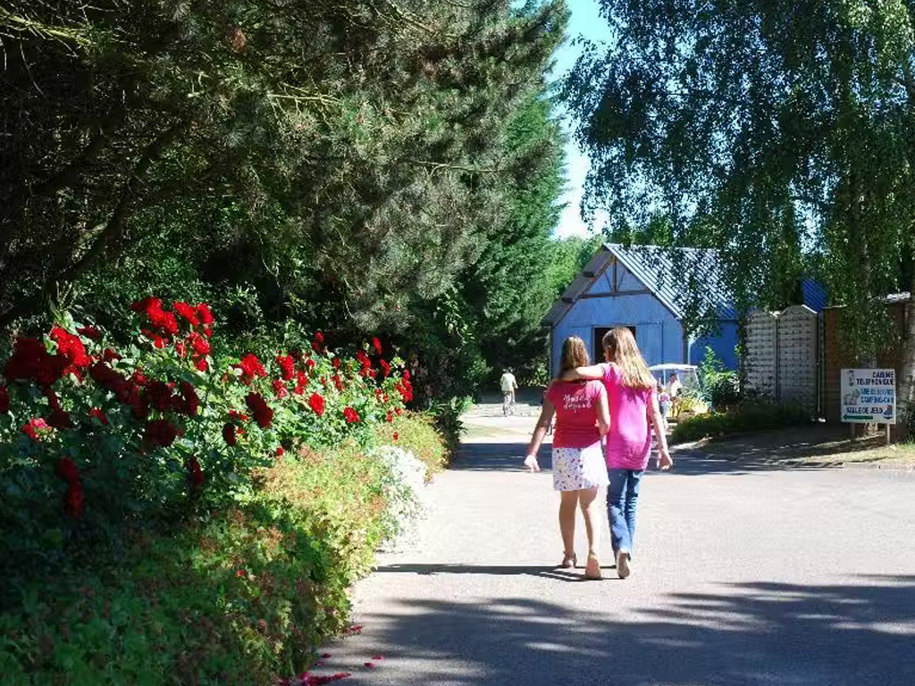 Flower Camping Vitamin 10