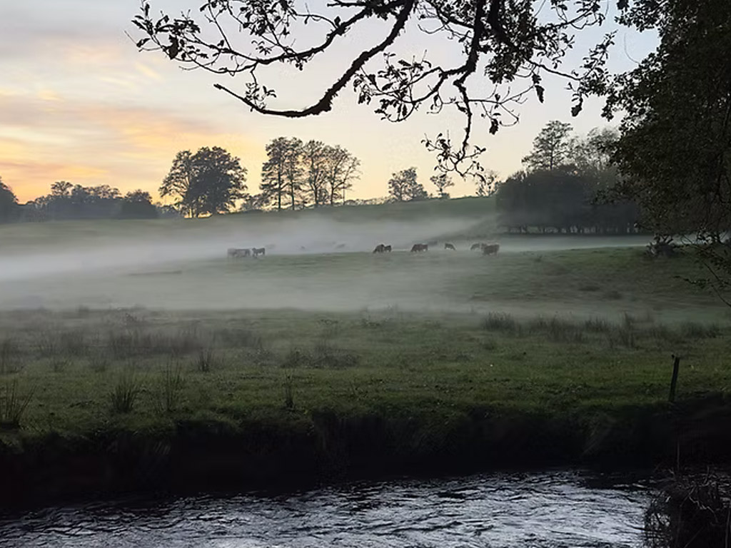 Camping Moulin De La Geneste 13