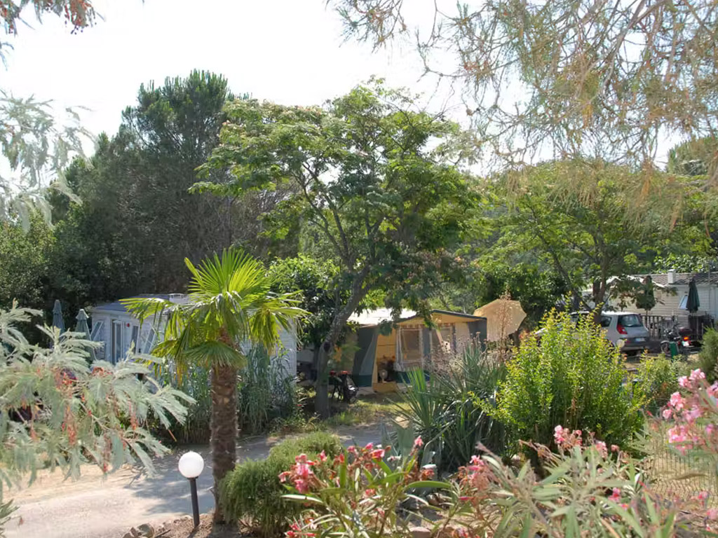 Camping Des Alberes 1