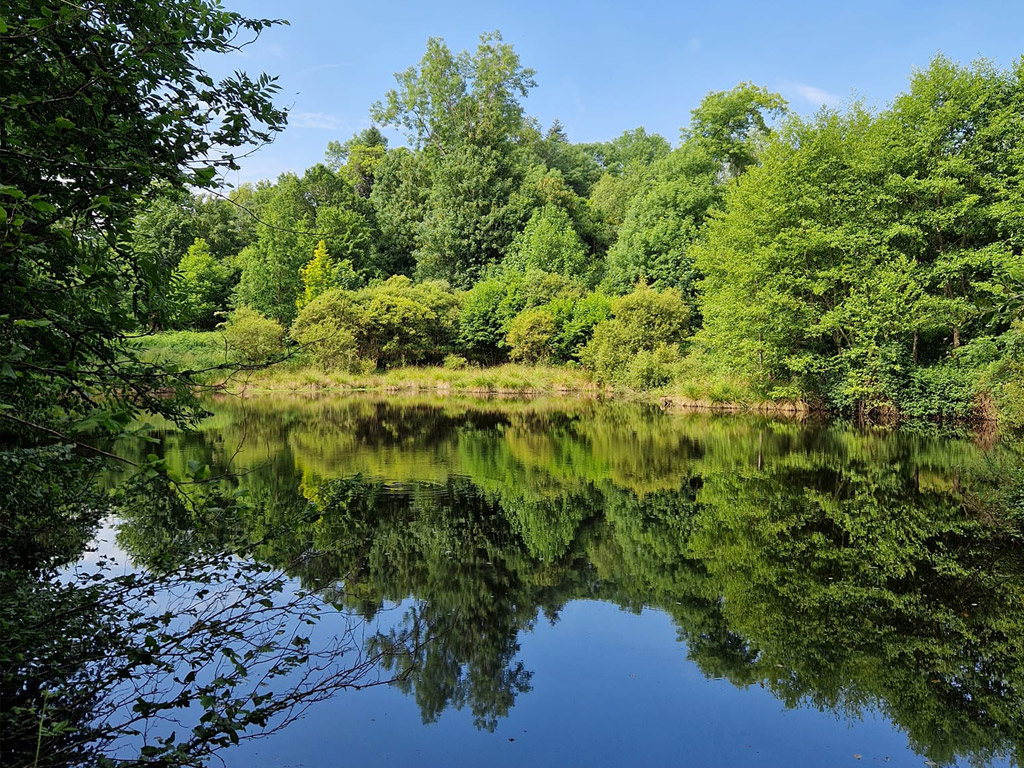 Hondencamping La Soupeze 10