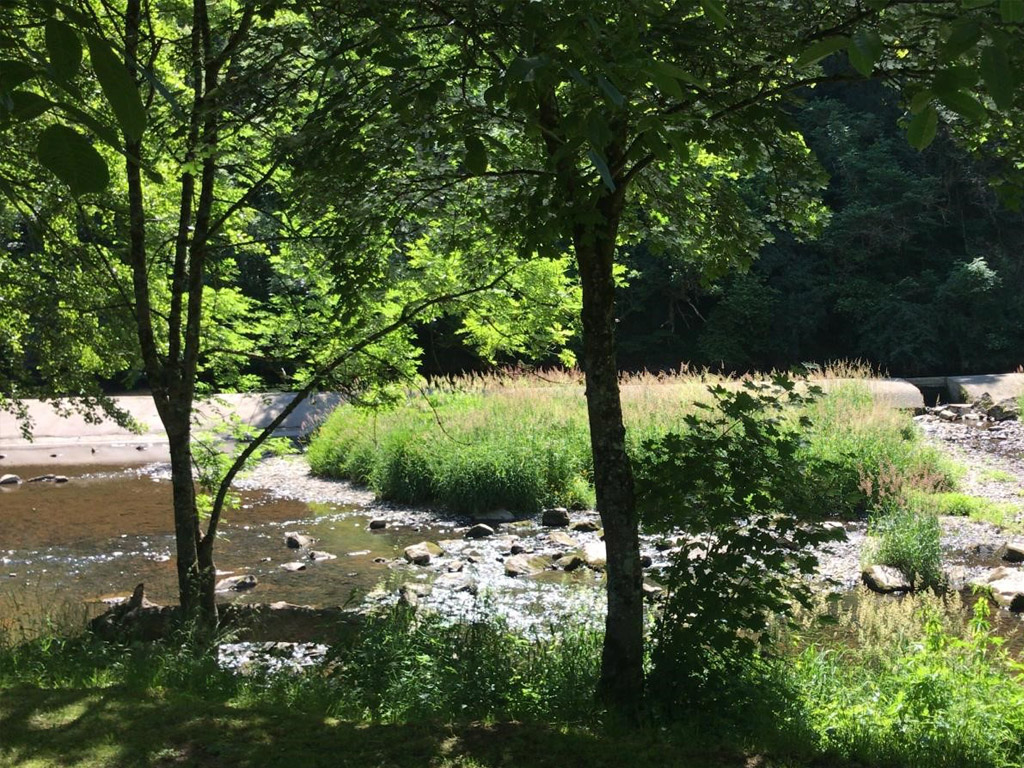Vianden Castle Camp 4