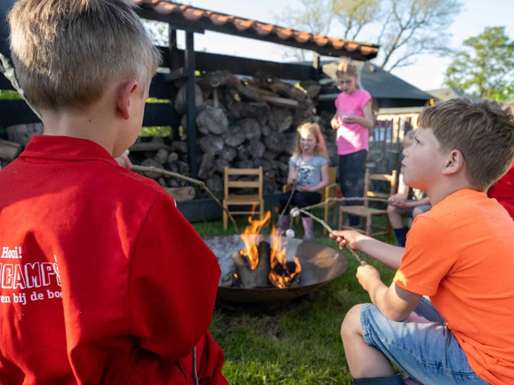 Camping De Bonte Fries 9