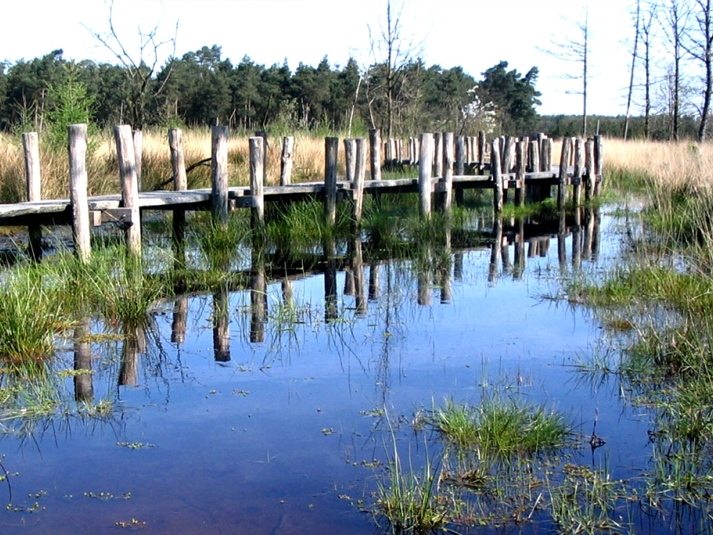 Camping Sonnevanck 16