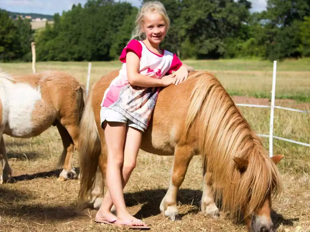 Kamperen bij Nederlanders op een shetland fokkerij
