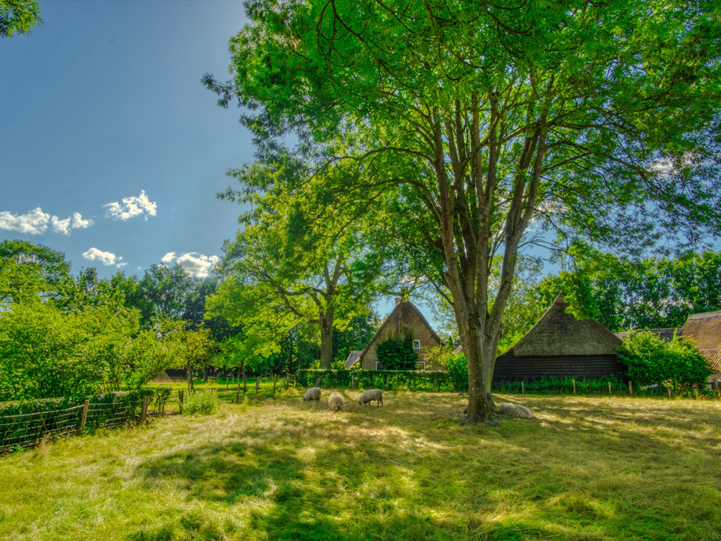 Drenthe is vrij dunbevolkt waardoor er meer ruimte is voor natuur en recreatie