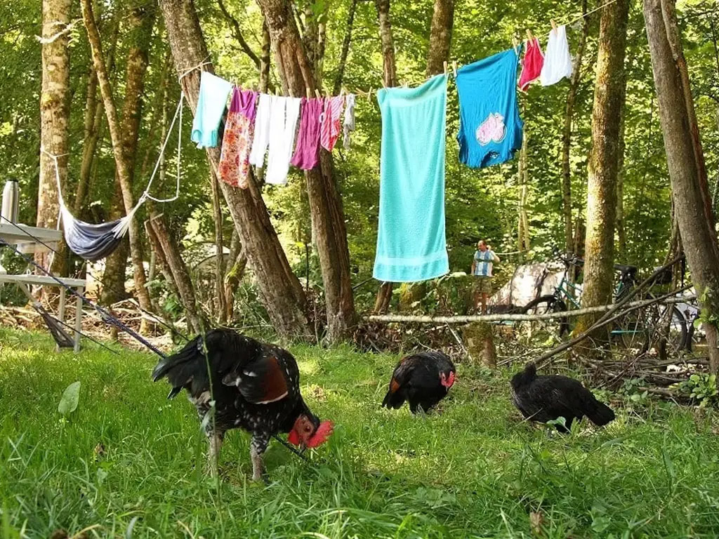 Kamperen op een boerderijcamping in Frankrijk