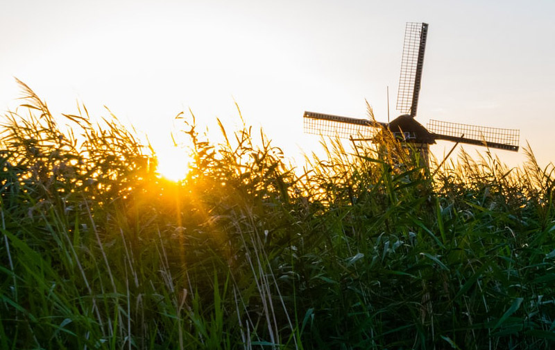 Molen (1) (1) (1)