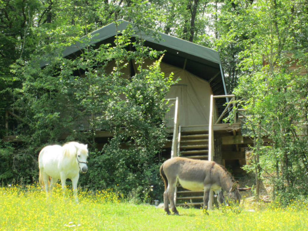 Glamping La Douce France 8