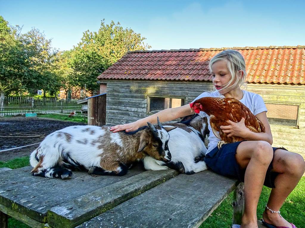 Kies een Boerderijcampings - Foto: Boerderijcamping De Mebel