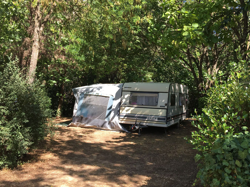 Flower Camping Les Tomasses 16