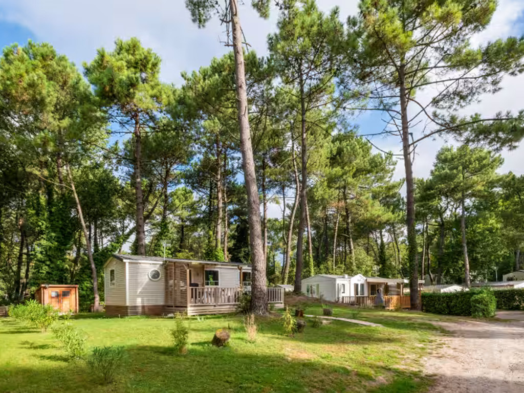 Camping La Dune Blanche 8