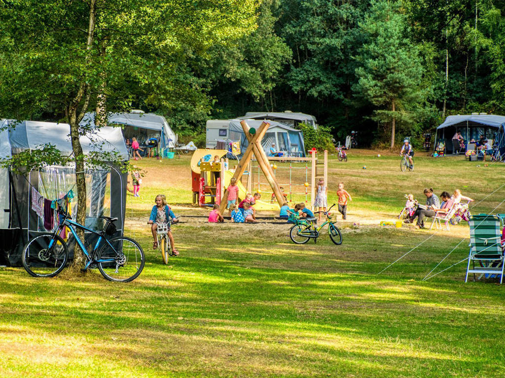 Kindercamping Landgoed De Berenkuil Kamperen in Grolloo Drenthe Kindercamping Landgoed De Berenkuil Kamperen in Grolloo Drenthe