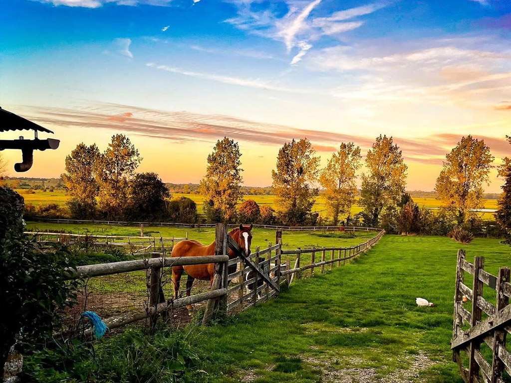 Le Château De Monfréville 2