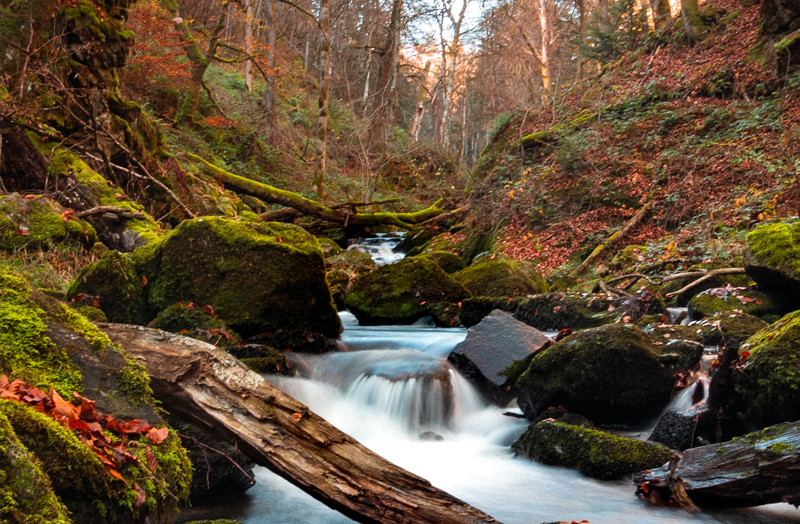 De Auvergne in Frankrijk