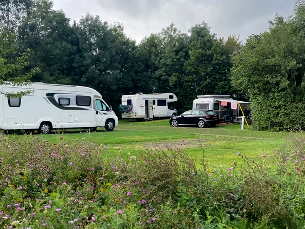 Urban Gardens Ieper 7