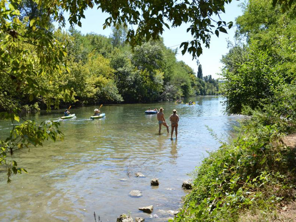 Camping La Grenouille 9